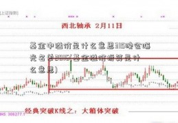 基金中溢价是什么意思315晚会曝光名单2016(基金溢价折算是什么意思)