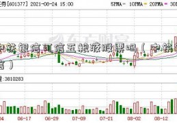 中铁银信可信五粮液股票吗（中铁银信）