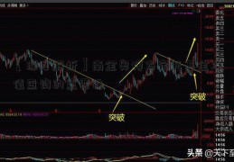 【深度解析】南金奥博方宝元基金净值查询的重要性