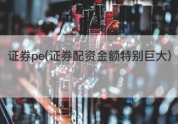 证券pe(证券配资金额特别巨大)