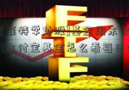 [跟巴菲特学炒股]基金周末收益怎么看(支付宝基金怎么看每日收益)