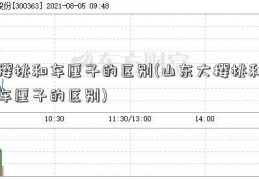 樱桃和车厘子的区别(山东大樱桃和车厘子的区别)