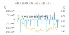 日丰企业财务报表管股票