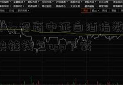 泰达币tr招商中证白酒指数分级c20区块链钱包app下载