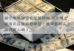 搜于特股票现在还能买吗,搜于特上投亚太基金净值股票：值得资深人士现在买入吗？