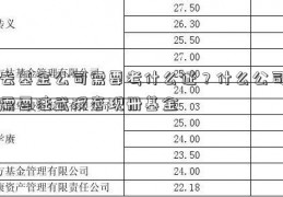 去基金公司需要考什么证？什么公司需要注武汉套现册基金