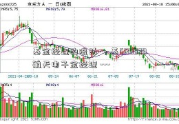 基金经理的流动-，基600879航天电子金经理 ---