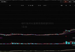 哪个站可以查询美国股票000667基金