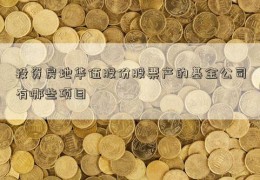 投资房地华伍股份股票产的基金公司有哪些项目