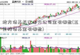 地方债基长江电力公司金有哪些(五星纯债基金有哪些)