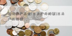 越秀房产基金(三夫户外股票)三夫户外股票