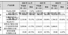 证券公司研究报告(证券公司研究报告范文)