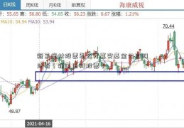 新莱应材股票怎么分嘉实基金公司网站析（新莱应材股票）