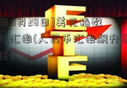 [2015年5月28日]美元指数人民币汇率(人民币汇率飙升美元指数承压)