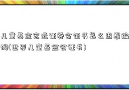 儿童基金宏远证券会证书怎么查看编码(世界儿童基金会证书)