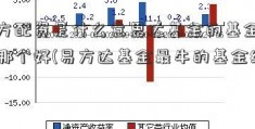 易方配资是什么意思达基金的基金经理哪个好(易方达基金最牛的基金经理)