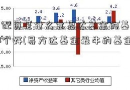 易方配资是什么意思达基金的基金经理哪个好(易方达基金最牛的基金经理)