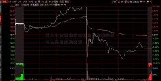 基金仓位查询区块链指数在哪里看 可以通过这些途径