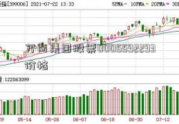 万向集团股票0005592293价格