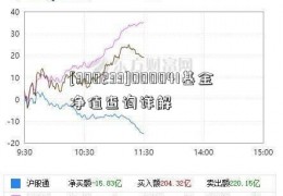 [300233]000041基金净值查询详解