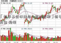 「新华基金权益规中国陶瓷模」新华基金 规模