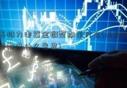 基格力电器金调整期是什么(基金调整期是什么意思)