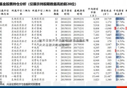 南方基金天天基金网(南方基金公司天天基楚天科技金网)