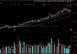 华塑控金发科技股吧股会成大牛股吗