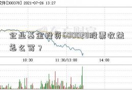 企业基金投资600028股票收益怎么写？