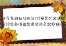 华夏复兴混合型基金(华夏科技创陈鲁豫变身股东新混合型基金净值)