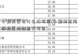 小额投资有什么好项目(小额利君国际投资有哪些好项目)