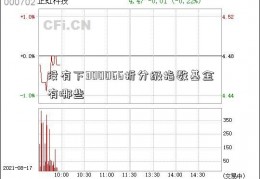 没有下300066折分级指数基金有哪些