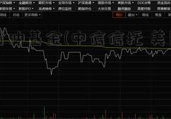 美国对冲基金(中信信托 美国对冲基金)