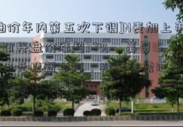 [油价年内第五次下调]N麦加上市首日开盘价涨超37%，募资15.68亿元投新项目，投资者需注意关键要点！