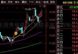 市盈率估值法_国家基金委网站登陆