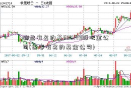 哪些有名的基600149股吧金公司(世界有名的基金公司)