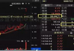 基金净值1中国黄金价格查询10003(基金净值110010)