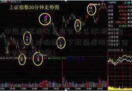 中国癌症研究基金会怎么样(根据国际海王星炒股软件下载癌症研究基金会的统计,欧美)