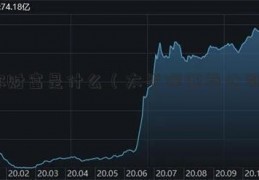 你财富是什么（太平洋证券公司）