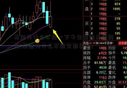 基金为什么不能一下子全卖出基金类型(基金为什么不能全部卖出)