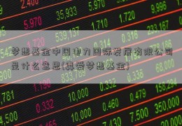 梦想基金中国电力国际发展有限公司是什么意思(真爱梦想基金)