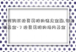 如何购买投资美股的德众金融.许圣明基金-？投资美股的场内基金