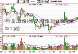 神马股份(神马股份78亿造600537假)