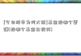 [今日股市为何大跌]基金投哪个更赚(投哪个基金比较好)