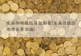 企业如何通过基金融资(企业基金融李季先资攻略)