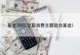 基金鸿阳(宝盈消费主题混合基金)