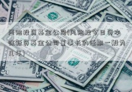 风险投资基金公司(风险投今日资本徐新资基金公司董事长的任期一般为几年)