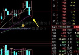 如何国航股票价格变化（一份详细的600832股票分析报告）