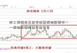 股工银瑞信基金管理票深圳能源吧——深圳能源股票资金全览