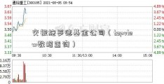 交银施罗德基金公司（topview数据查询）